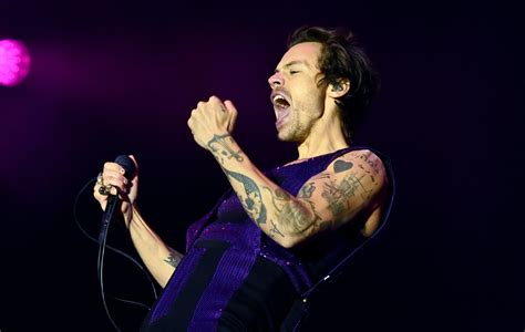 harry styles lpsg|What's All This About Harry Styles' Penis Becoming The Face Of .